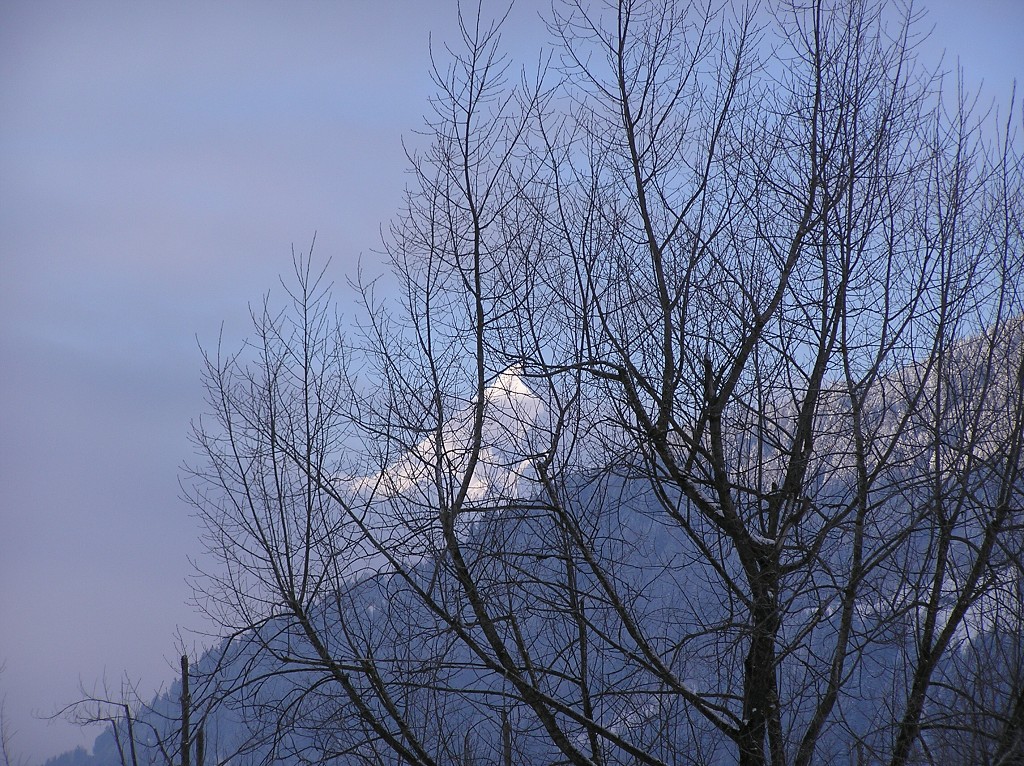 img00040.jpg