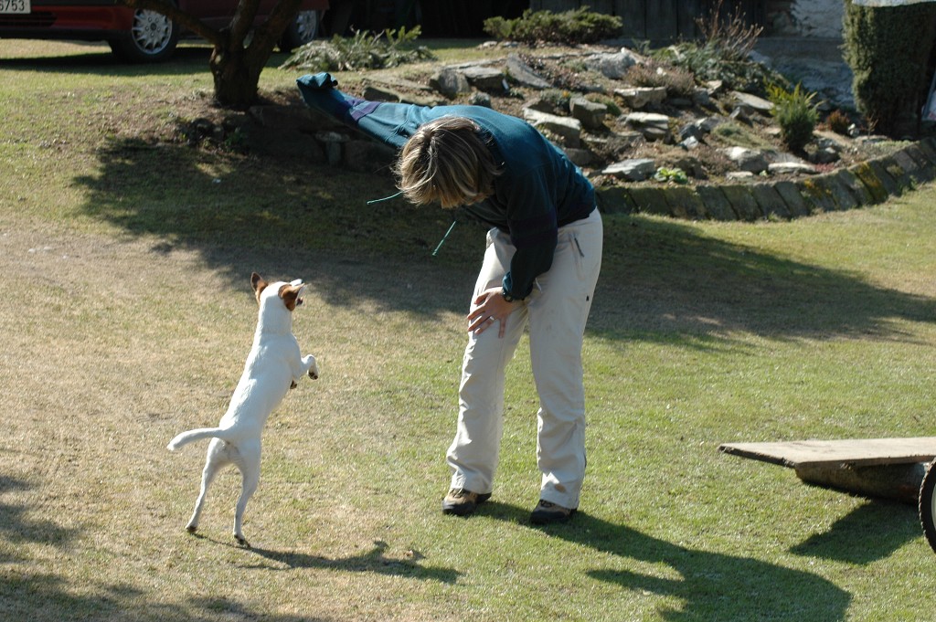 img00002.jpg