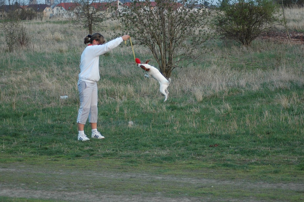 img00004.jpg