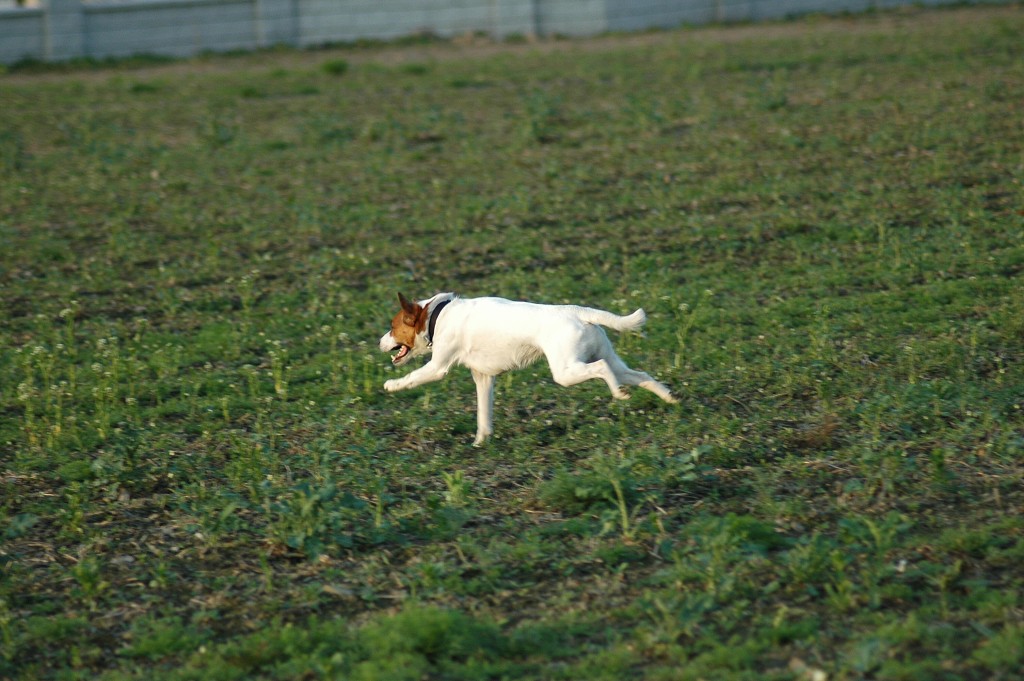 img00005.jpg