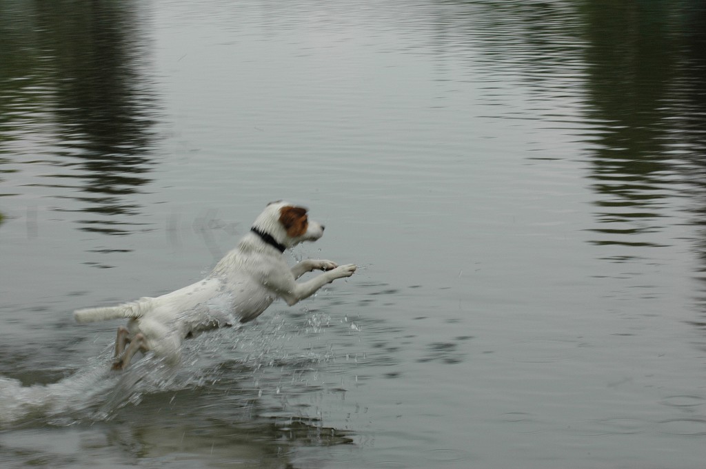 img00013.jpg