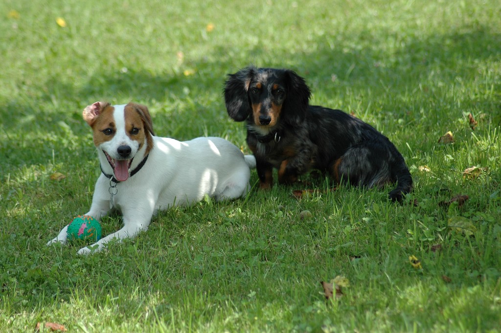 img00014.jpg