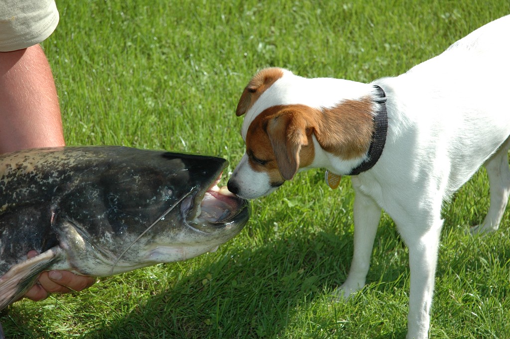 img00015.jpg