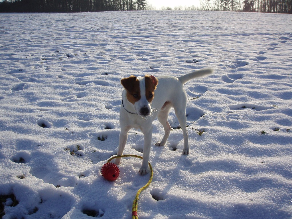 img00016.jpg