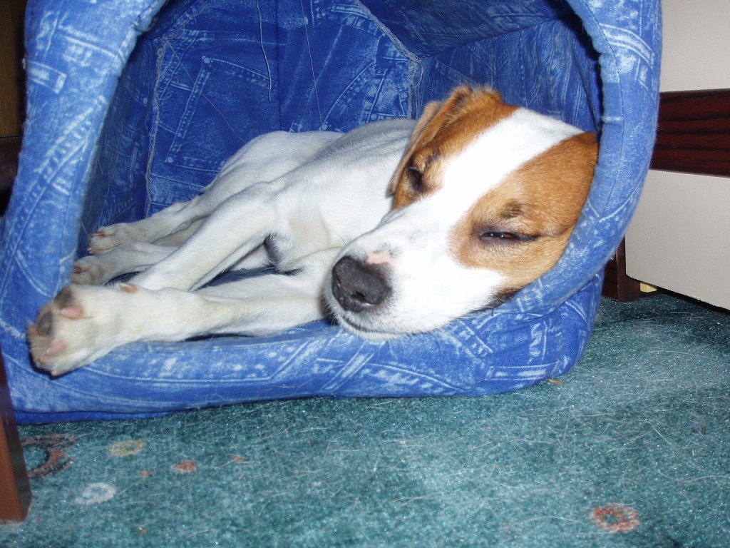 img00018.jpg