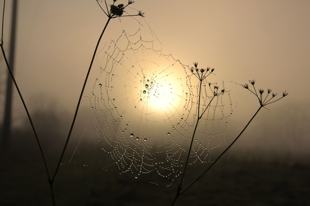 img00004.jpg