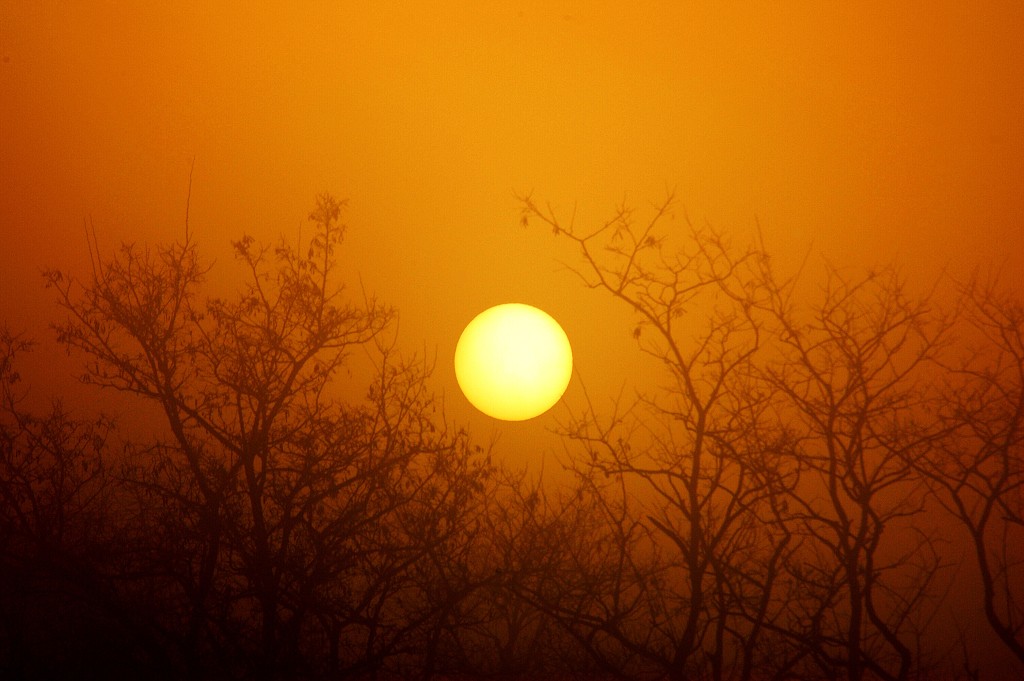 img00005.jpg