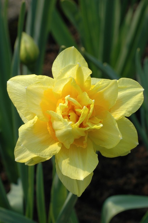 img00013.jpg