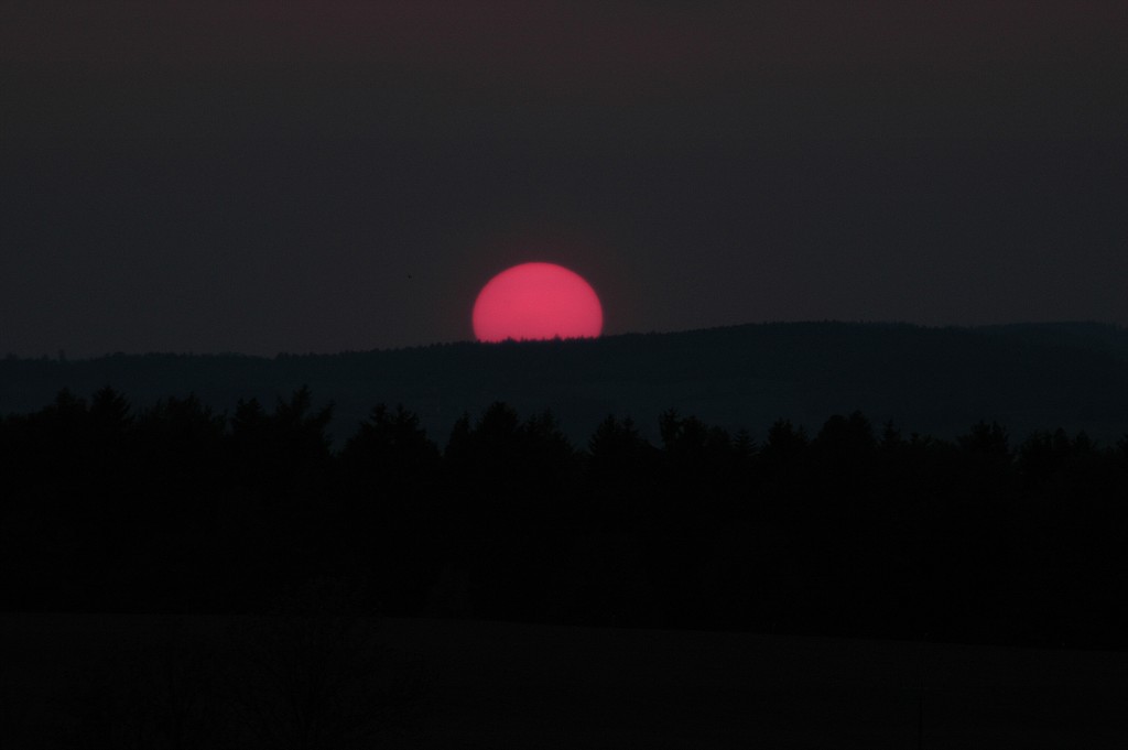 img00016.jpg