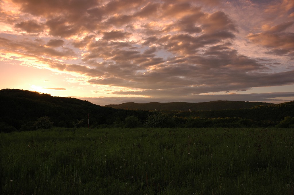 img00019.jpg