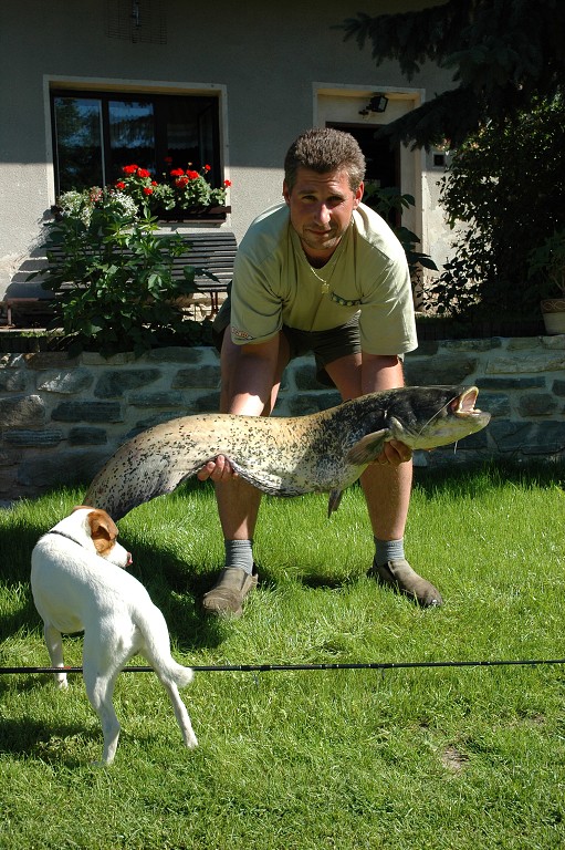 img00021.jpg