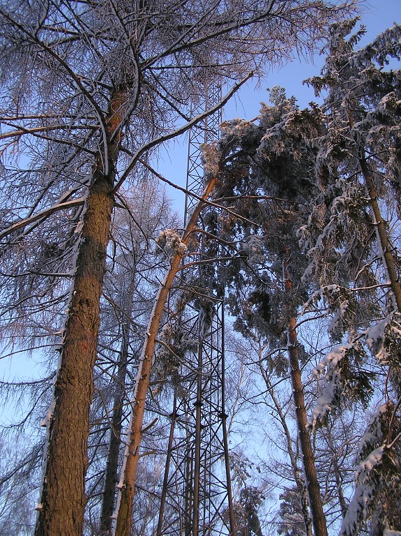 img00026.jpg