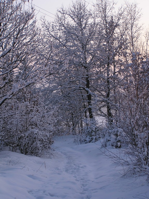 img00028.jpg