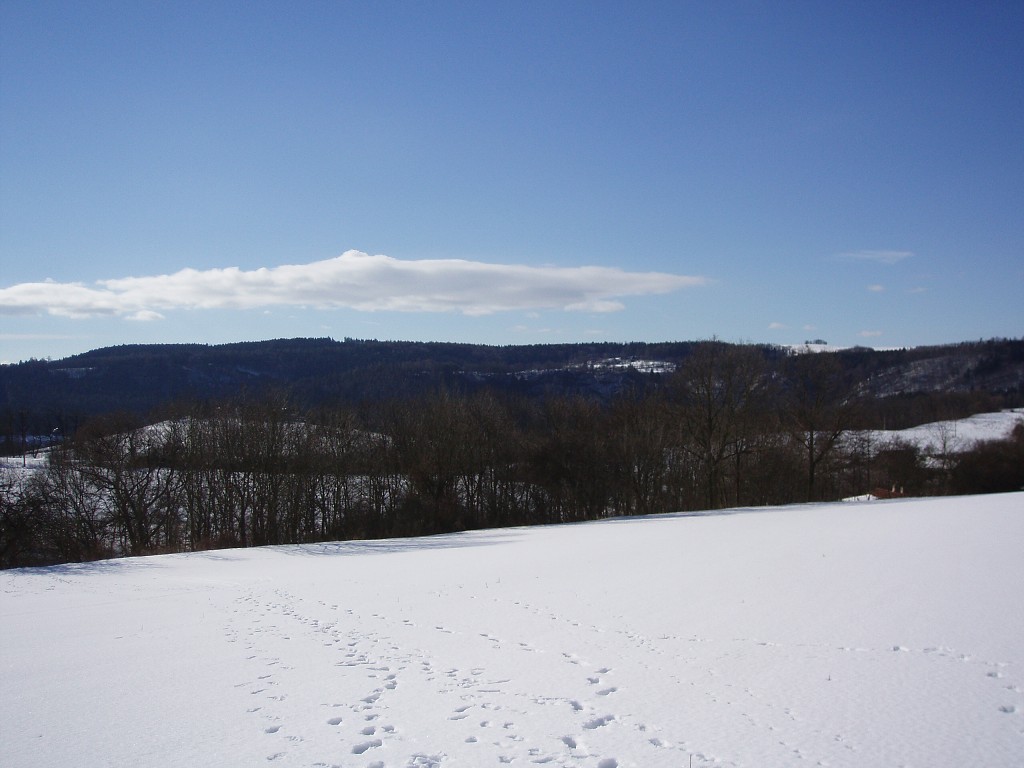 img00035.jpg
