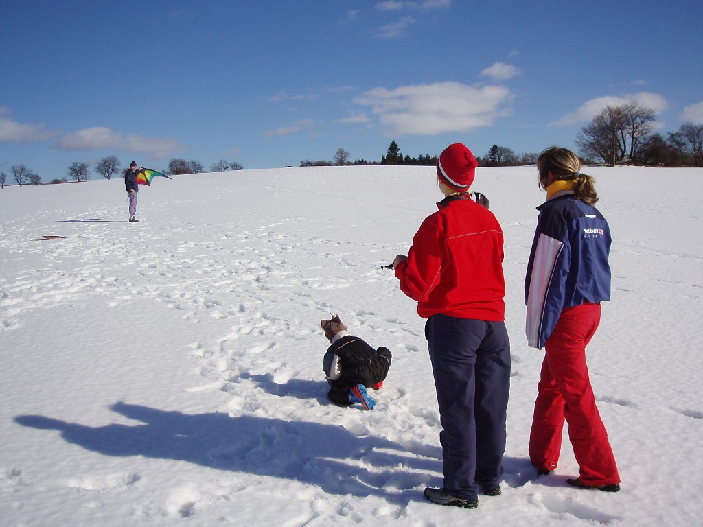 img00036.jpg