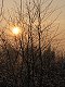 1/500 s, F6.3, ISO 50