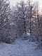 1/250 s, F3.2, ISO 50
