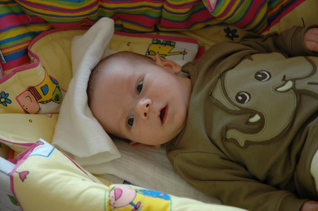 img00004.jpg