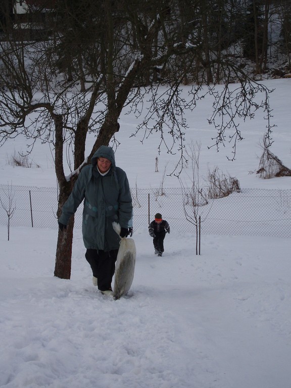 img00015.jpg