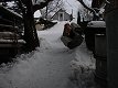 1/1000 s, F4.0, ISO 64