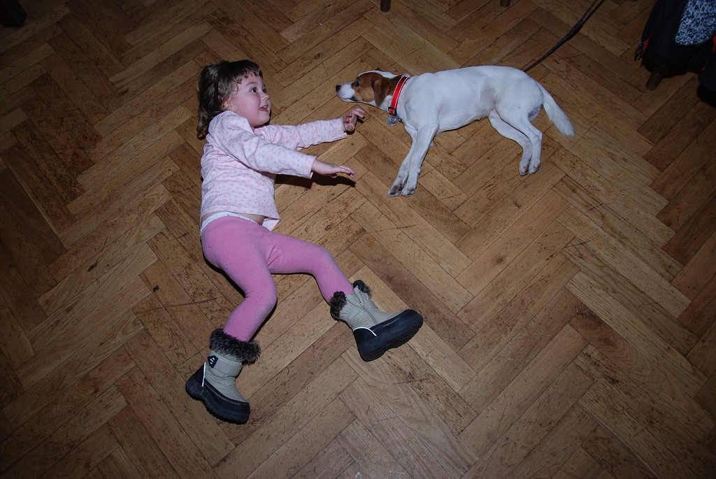 img00008.jpg