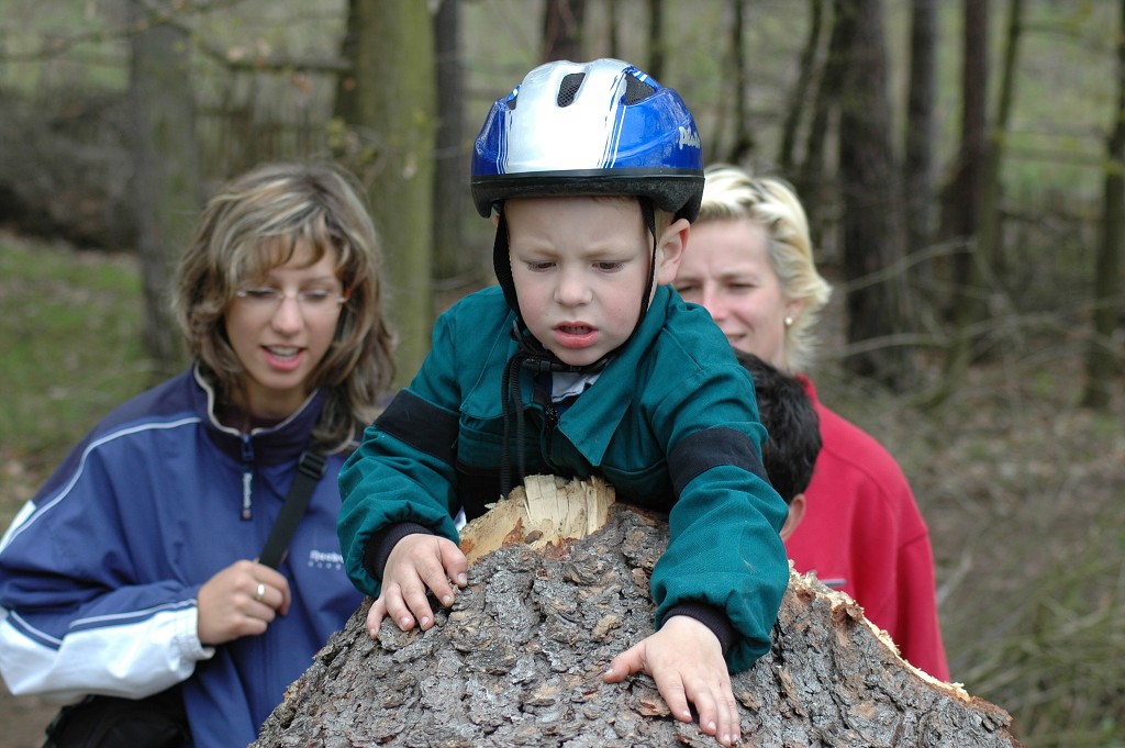 img00006.jpg