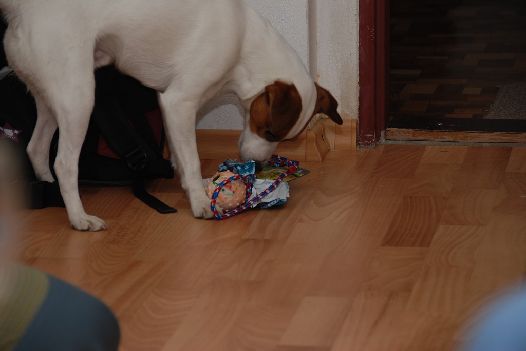 img00009.jpg