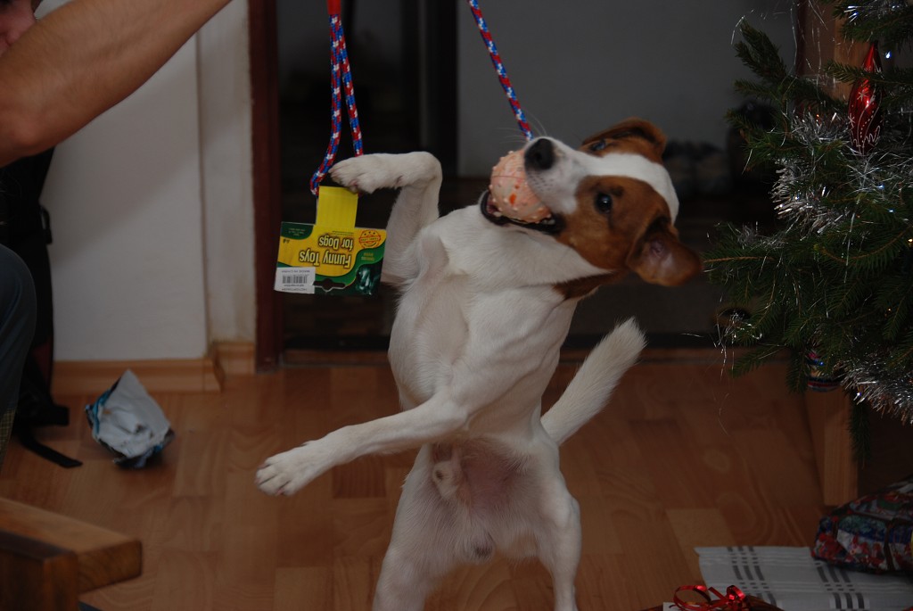 img00010.jpg
